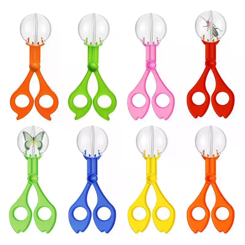 Educational Bug Catcher Scisso - đánh giá và giá Outdoor Camping Kids Activities